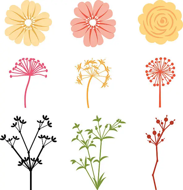 Vector illustration of Floral design elements - VECTOR