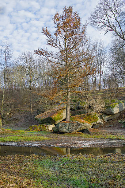 istock Winter landscape in sunny day 533363589