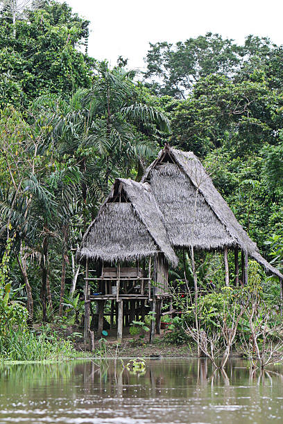 istock Houses on Stilts 533366631