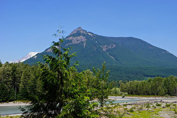istock Mt. Rainier's Pinnacle Peak 533368107