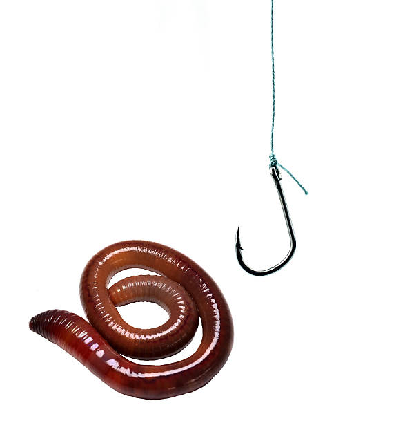 istock Strong fishing hook isolated on white background 533368515