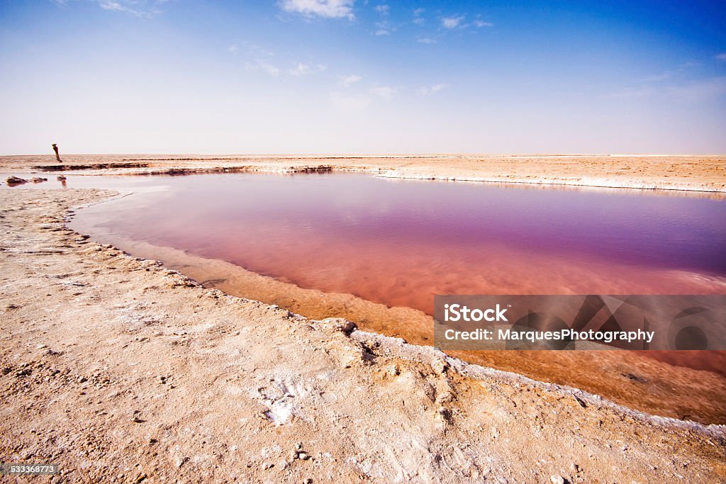 Chott el Djerid - salt lake in Tunisia Chott El Jerid Stock Photo