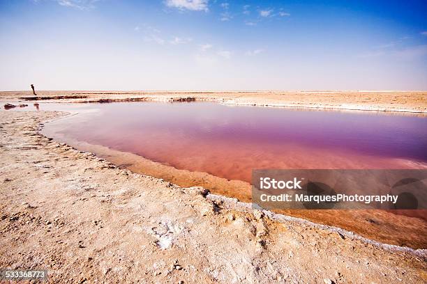 Chott El Djerid Salt Lake In Tunisia Stock Photo - Download Image Now - Chott El Jerid, Tunisia, 2015