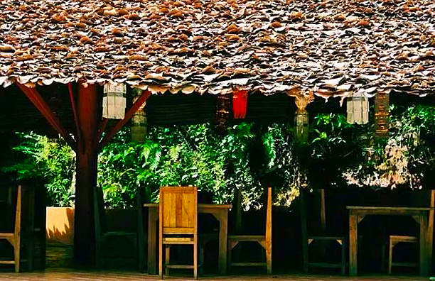istock Small house with thatched roof - Stock Image 533375011