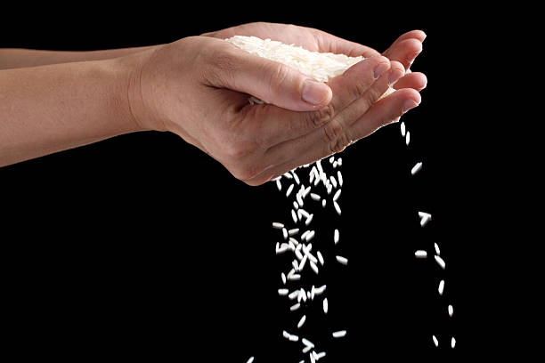 istock hand holding rice grain isolated on black background. 533375589
