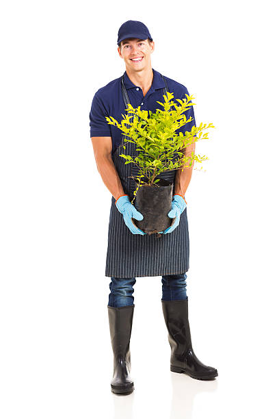 giardiniere tenendo una pianta - manual worker full length isolated on white standing foto e immagini stock