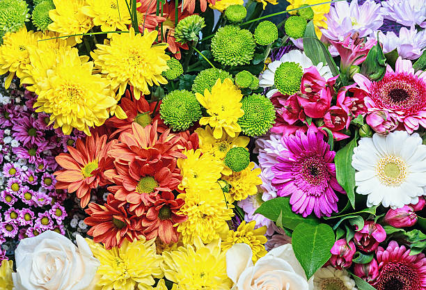 istock background image of the colorful flowers 533376973