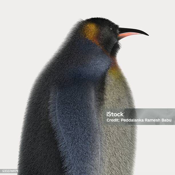 Emperor Penguins Stock Photo - Download Image Now - 2015, Animal, Animal Wildlife