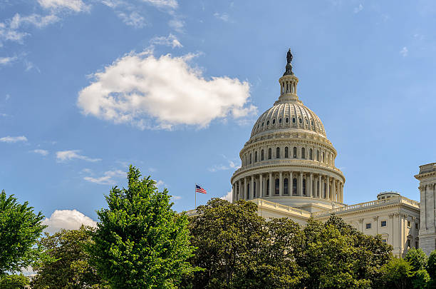 istock United States Capitol 533377019