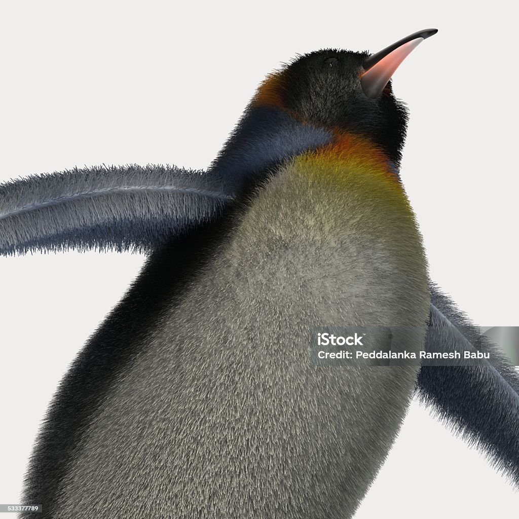 Emperor penguins Emperor penguins , cartoon penguins , 3d render penguins isolated on white background 2015 Stock Photo