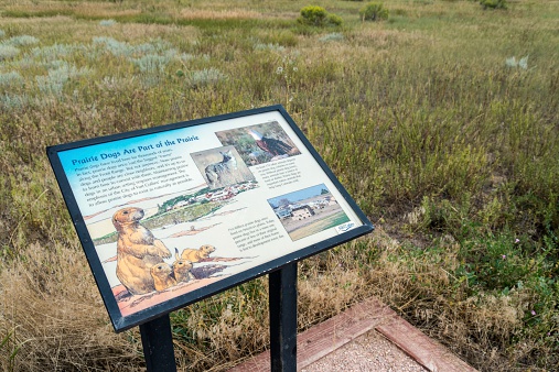 Fort Collins, Colorado, USA - August 21, 2013: A sign explains wildlife at the Cathy Fromme Prairie Natural Area. Named after conservationist Cathy Fromme who died at an early age, it is one of the extensive natural areas with trails the city maintains.