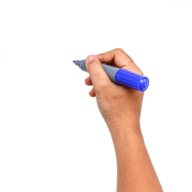 istock Hand holding marker isolated on white background 533379743