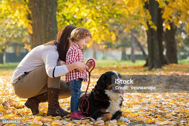 Mother And Daughter With Their Pet Stock Photo - Download Image Now - Bernese Mountain Dog, Family, 12-23 Months