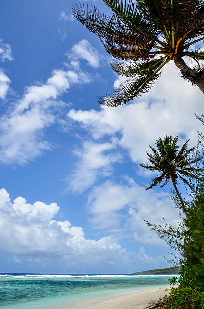 sonhos de rota - trade winds imagens e fotografias de stock