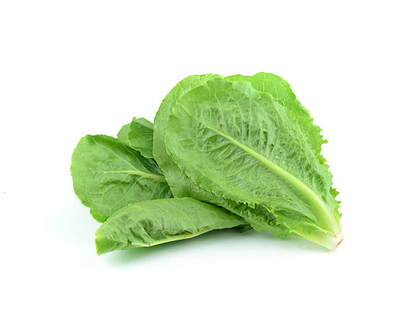 istock fresh lettuce leaves isolated on white 533381173