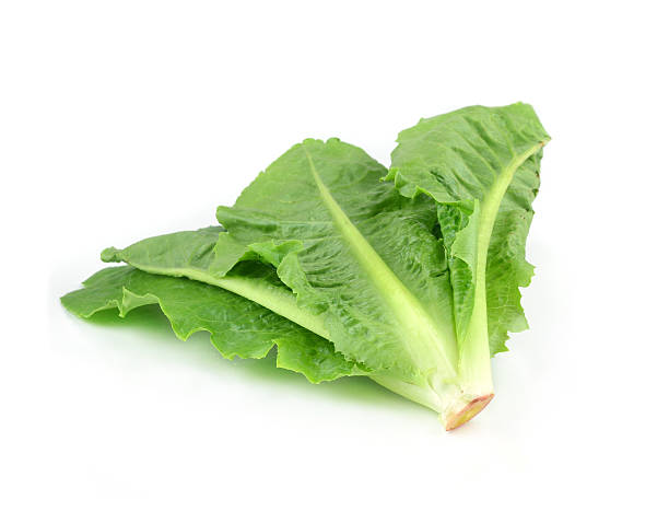 istock fresh lettuce leaves isolated on white 533382051