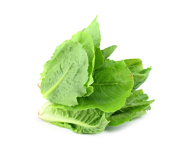 istock fresh lettuce leaves isolated on white 533396251