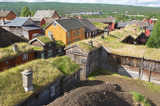 Traditional houses of the copper mines town of Roros, Norway. View to the traditional houses of the copper mines town of Roros, Norway. Roros town is declared a UNESCO World Heritage site. roros mining city stock pictures, royalty-free photos & images