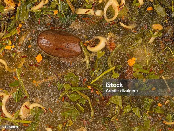 Spices And Nutmeg Stock Photo - Download Image Now - 2015, Brown, Cardamom