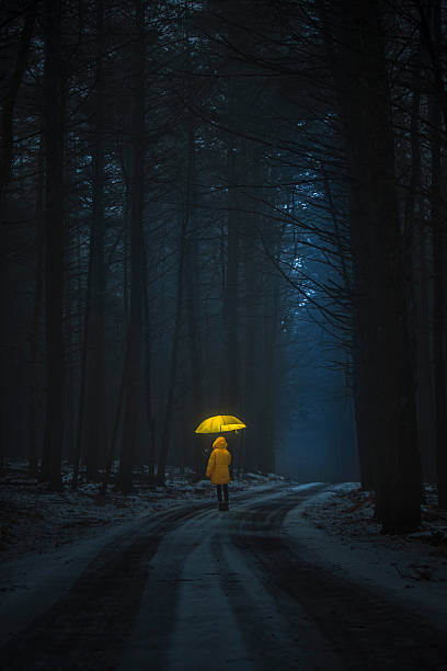 istock Little girl in the dark forest 533399321