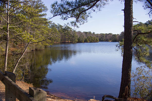 istock Lake in nature part 533402075