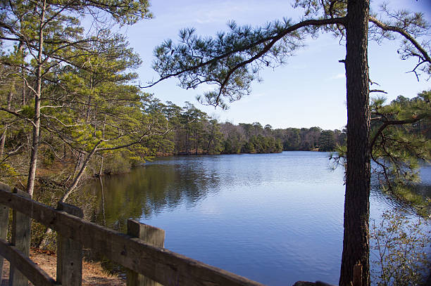 istock lake in nature park 533402079
