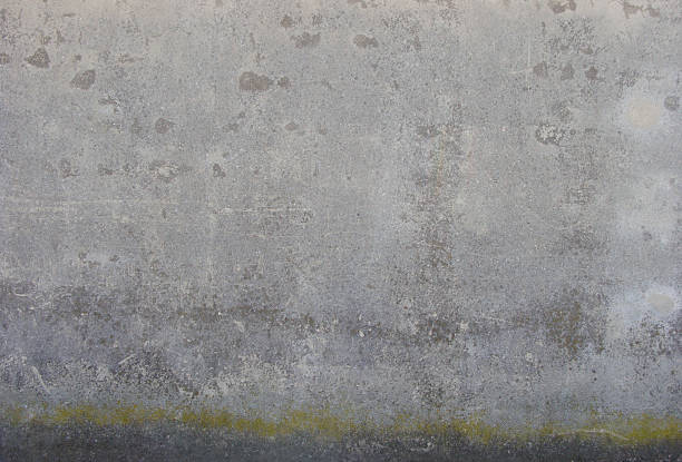 istock gray damaged worn wall with a little stroke of moss 533402399