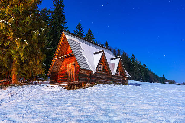istock Wooden hutr in Tatra mountains at night 533419163