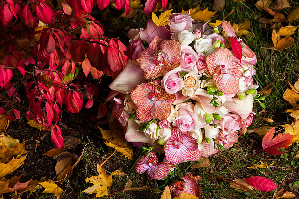 bridal bouquet with gentle orchid and roses stock photo