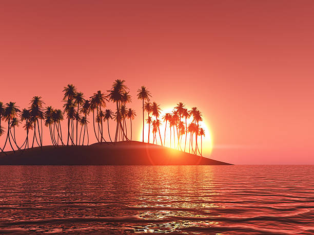 istock 3D palm tree island at sunset 533429640