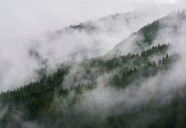 istock Mountains in the Fog 533430188