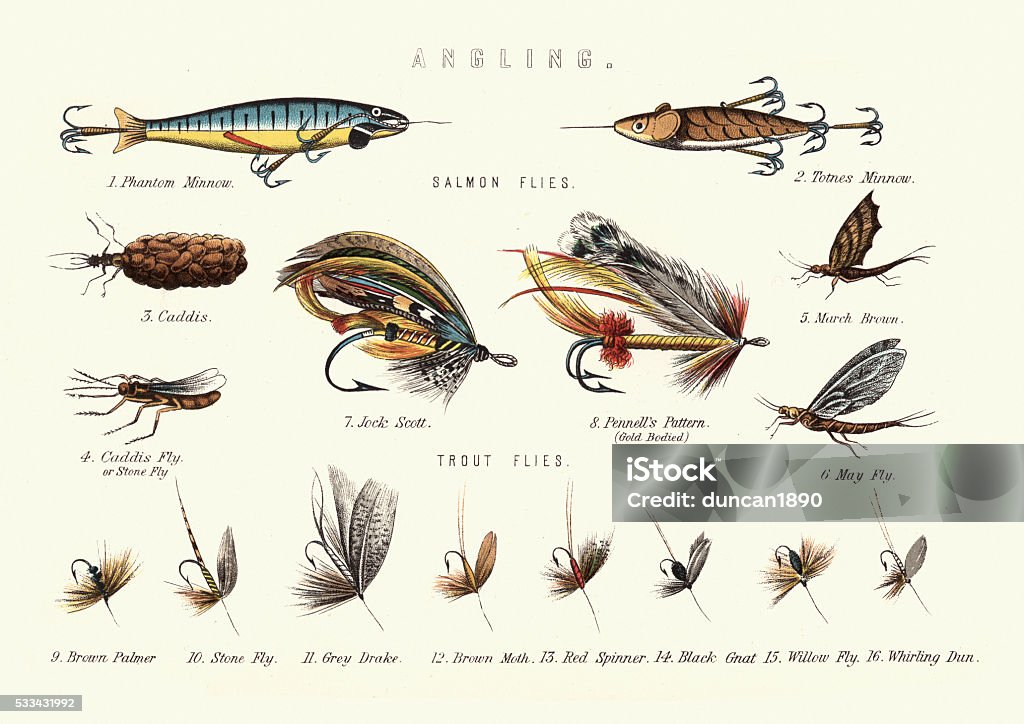 Angling - Victorian Fishing lures Vintage engraving of Victorian Fishing lures. Salmon flies and Trout flies. Old-fashioned stock illustration