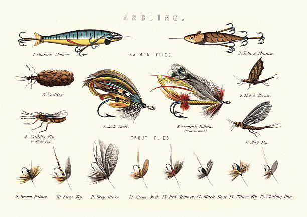 Angling - Victorian Fishing lures Vintage engraving of Victorian Fishing lures. Salmon flies and Trout flies. fishing illustrations stock illustrations