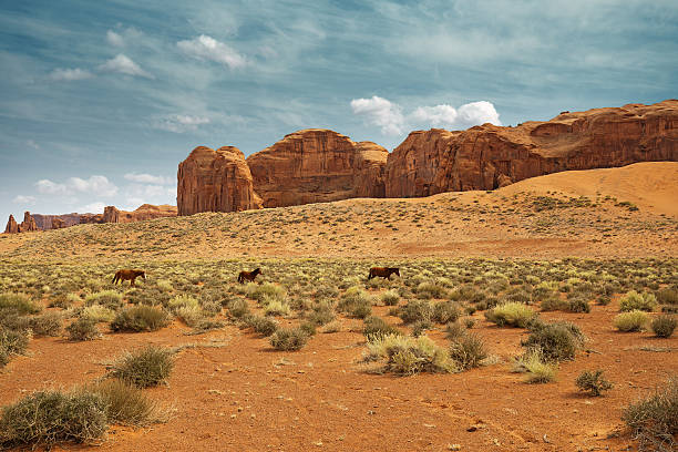 horses grazing in the monument valley three horses grazing in the monument valley bush land natural phenomenon environmental conservation stone stock pictures, royalty-free photos & images
