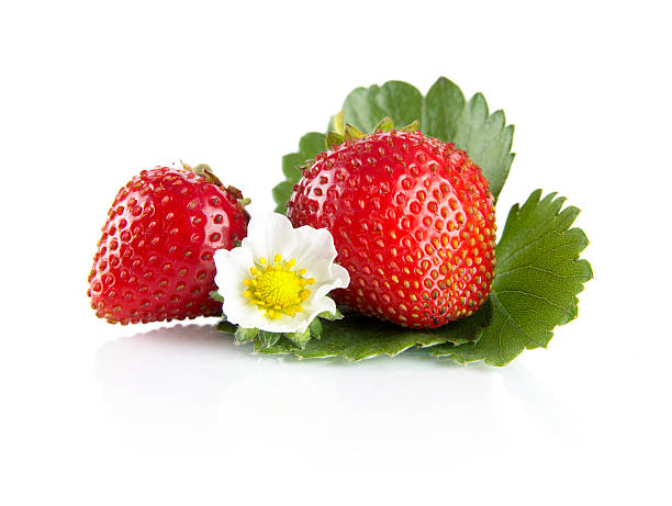 istock Whole strawberries isolated with flower,leaves on white 533432468