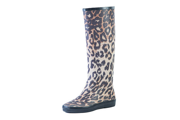 istock female leopard boots on a white background, online sales catalog 533432656