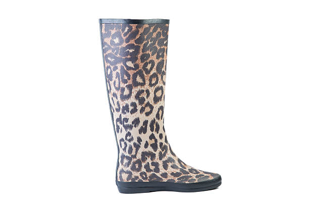 istock female leopard boots on a white background, online sales catalog 533432854