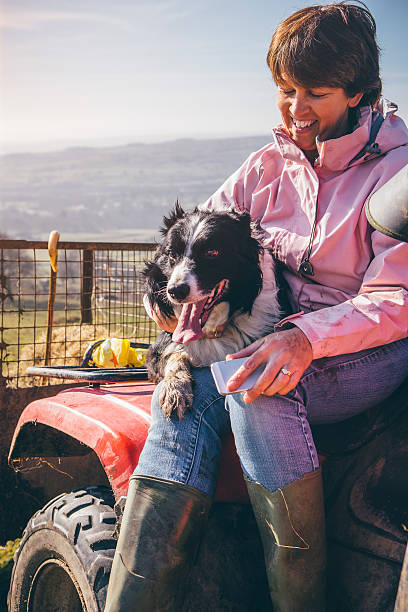 istock Female Farmer and Her Sheepdog 533433348