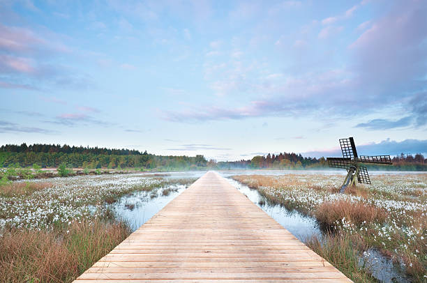 wooden path on swamp at misty sunrise, Drenthe, Netherlands