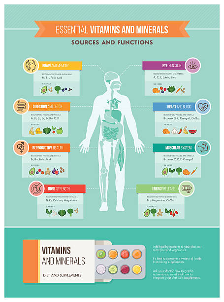 ilustrações, clipart, desenhos animados e ícones de nutrição e saúde - mineral