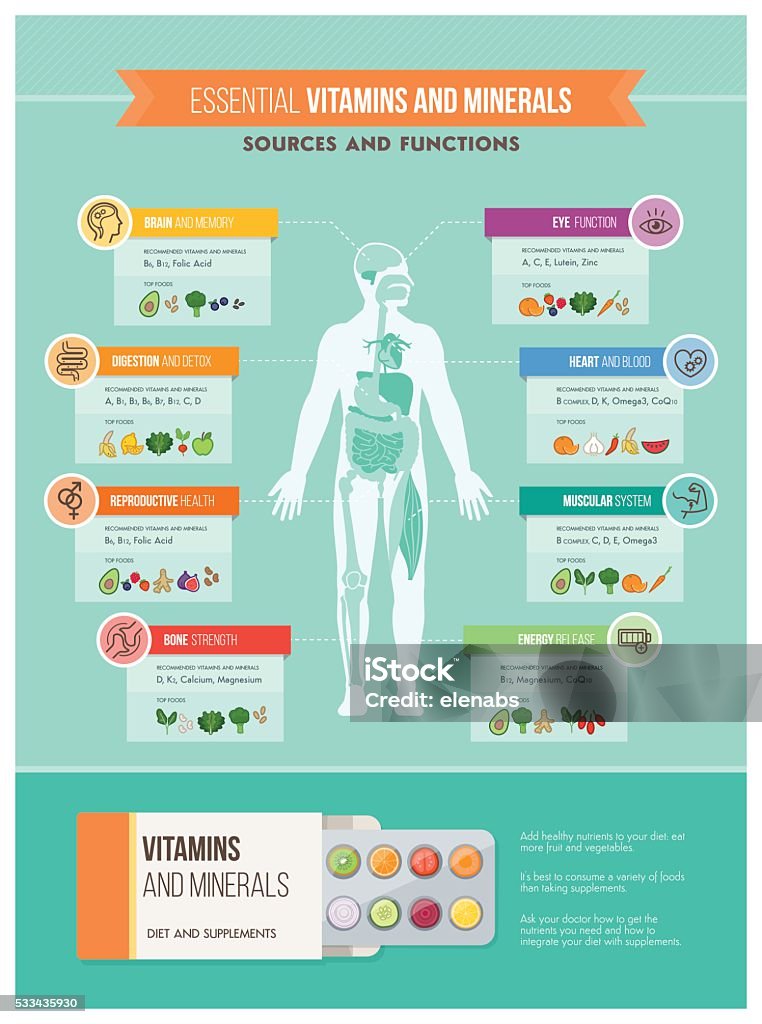 Nutrition and health Nutrition, vitamins and health infographics: human body, organs, vitamins benefits and food sources infographic Infographic stock vector