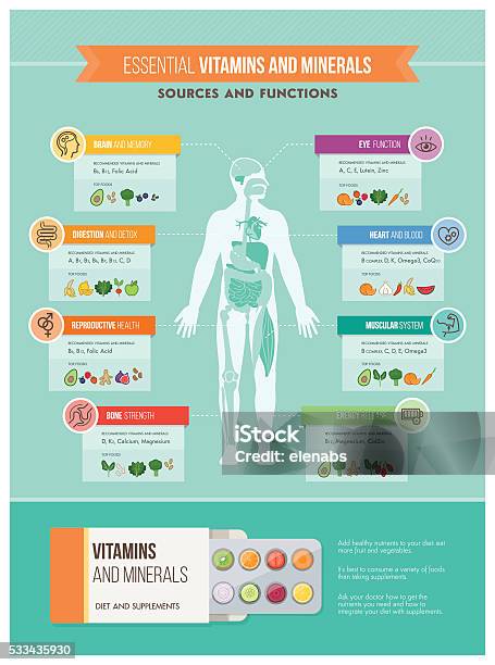 Nutrition And Health Stock Illustration - Download Image Now - Infographic, The Human Body, Vitamin