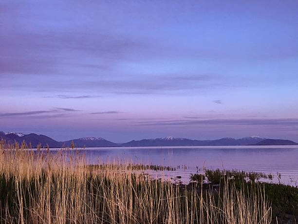 Lake at Sunset Utah Lake at sunset with feather reed grass in foreground lake utah stock pictures, royalty-free photos & images