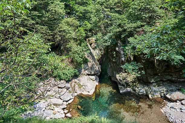 The Pogallo River gorge surrounded by dense forest in Val Grande National Park. Verbano-Cusio-Ossola Province. Piemonte. Italy.