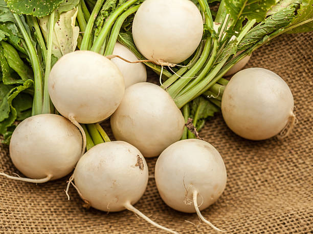 istock Fresh Snow Belle radishes on brown burlap 533440698