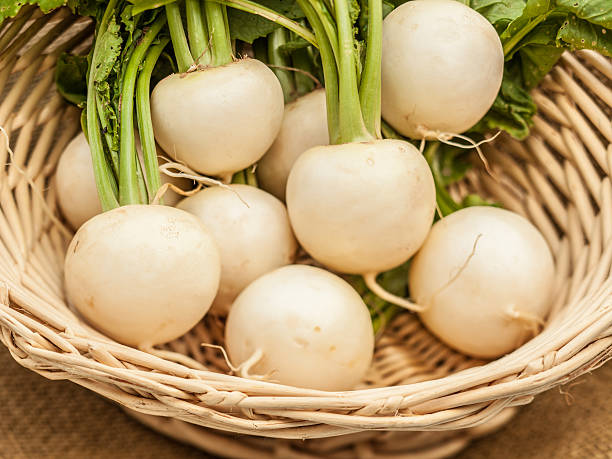 istock Fresh Snow Belle radishes on brown burlap 533440814
