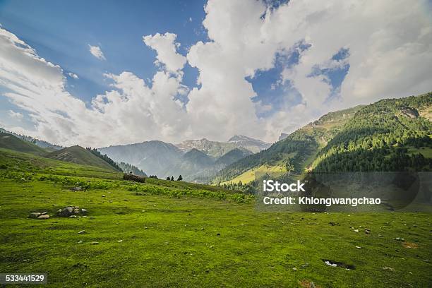 Rolling Green Hills And A Blue Sky Stock Photo - Download Image Now - 2015, Agricultural Field, Agriculture