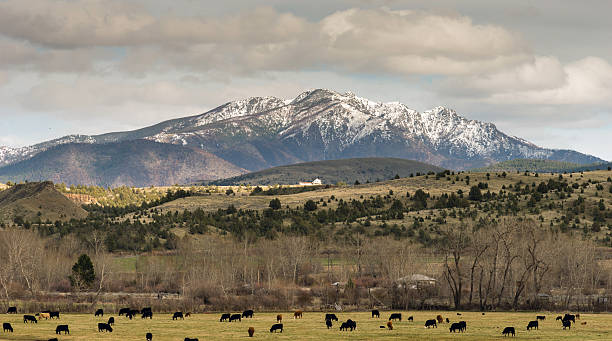 istock Road to John Day Oregon Cattle Ranch Canyon Mountain 533442184