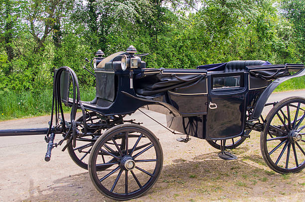 istock Black carriage for horse riding 533442194
