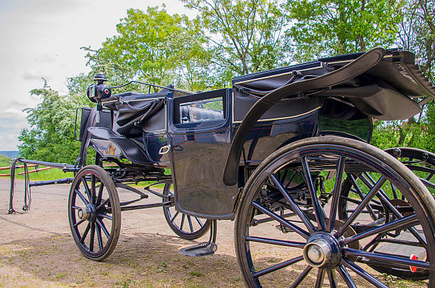istock Black carriage for horse riding 533442230